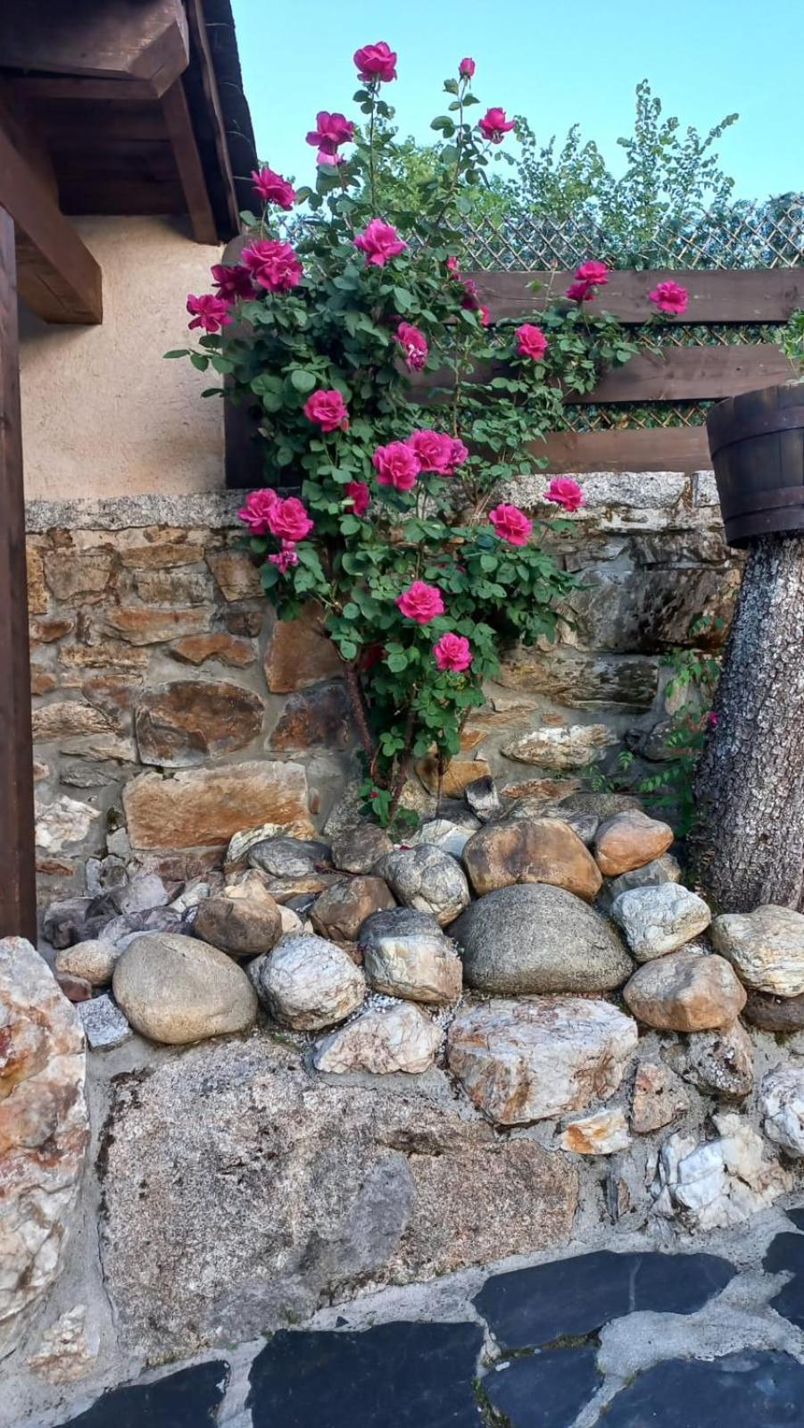 Casa Del Cura Guest House Rozas Eksteriør bilde